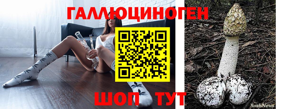 Комсомольск-на-Амуре  Галлюциногенные грибы мухоморы  Псилоцибиновые грибы GOLDEN TEACHER  Вход с VPN 