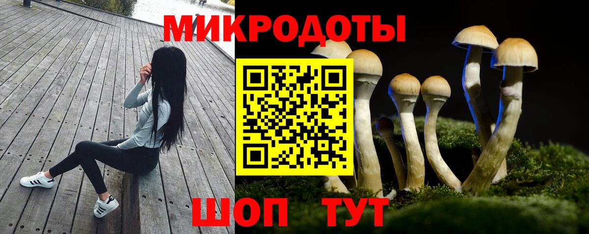 Галлюциногенные грибы Cubensis Комсомольск-на-Амуре